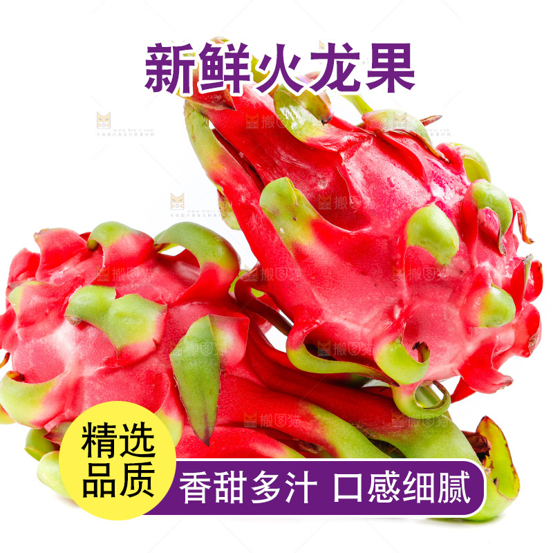 白底上的火龙果