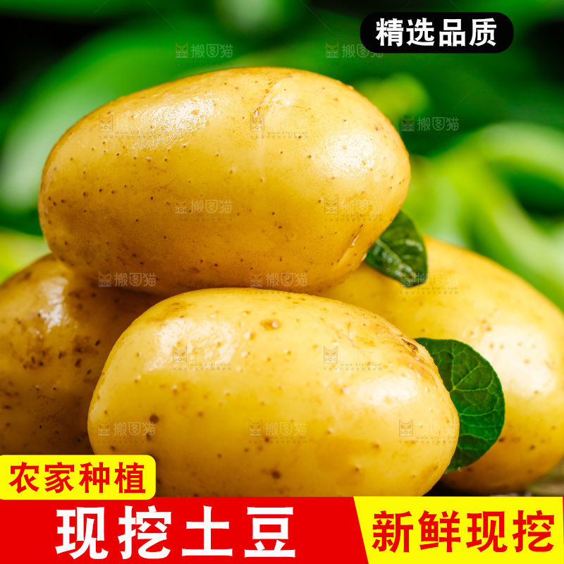 新鲜土豆放在木底上