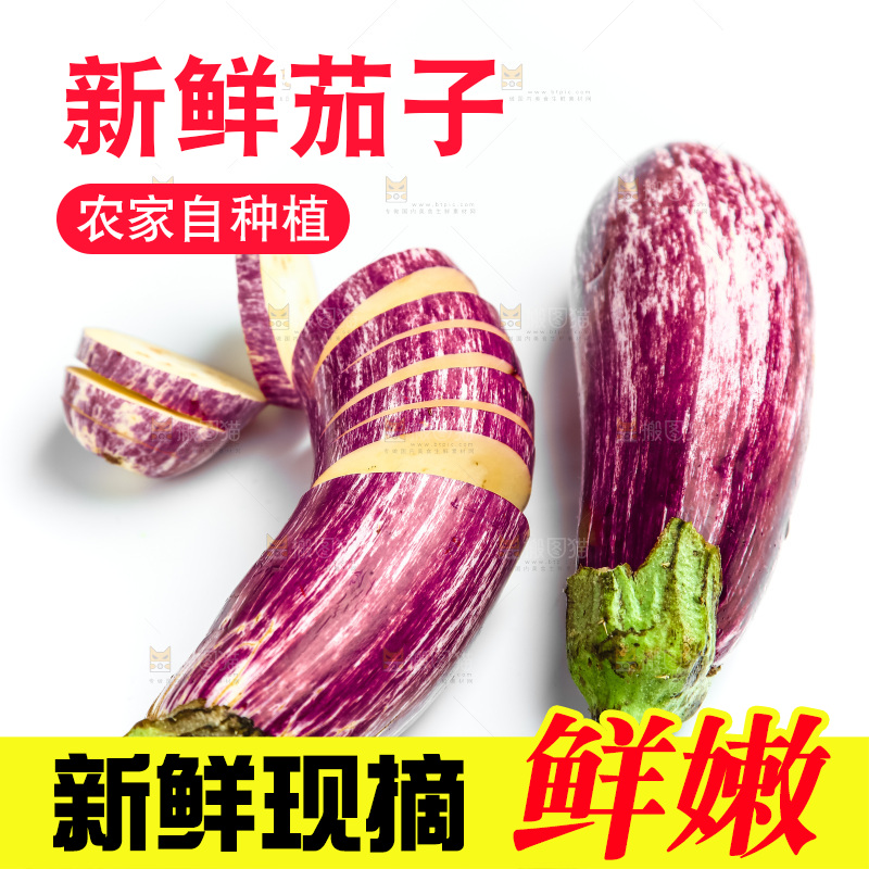 新鲜茄子放在白底上