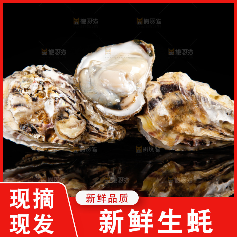 深底上放着牡蛎