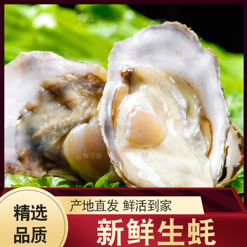 木底上放着生蚝
