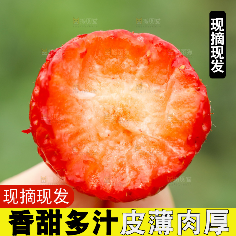 手拿草莓