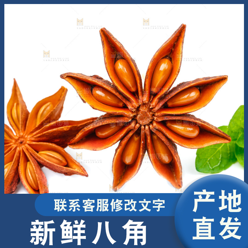 广西八角放在白底上