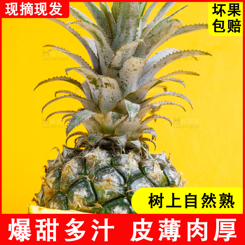 浅底上放着云南香水小菠萝