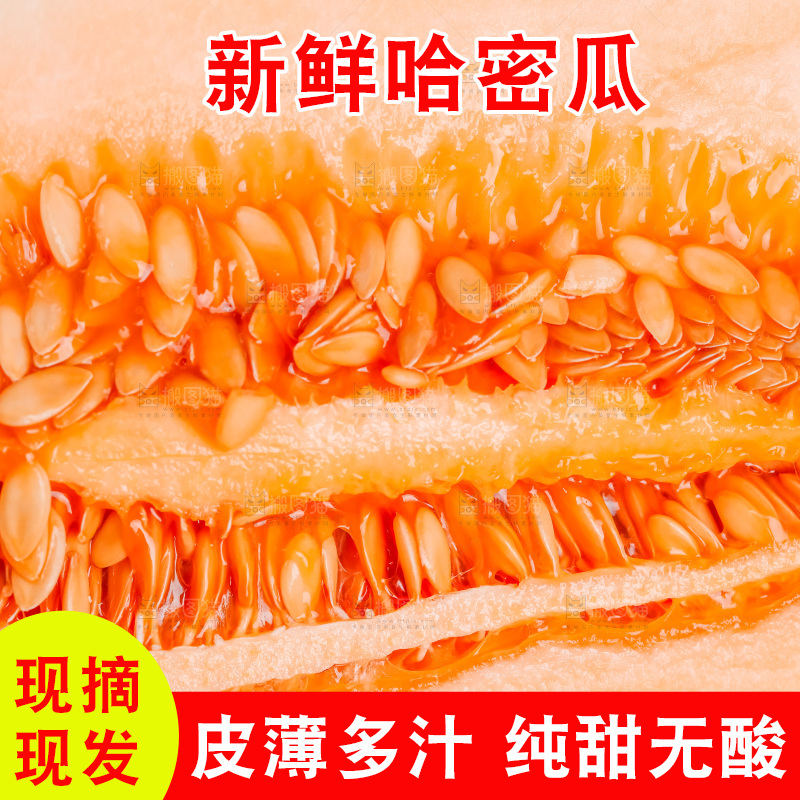 浅底上放着新疆哈密瓜
