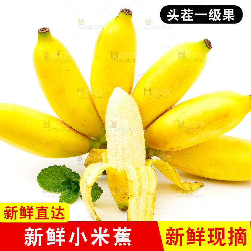 白底上放着广西小米蕉