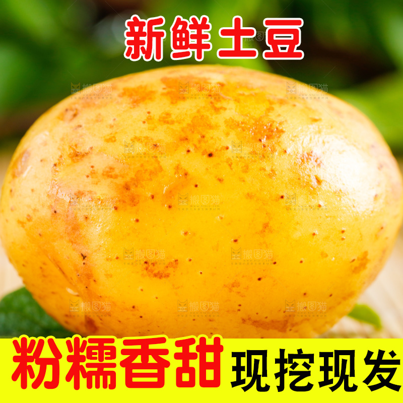 浅底上放着云南黄心土豆