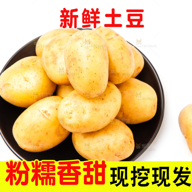 一盘新鲜土豆放在白底上