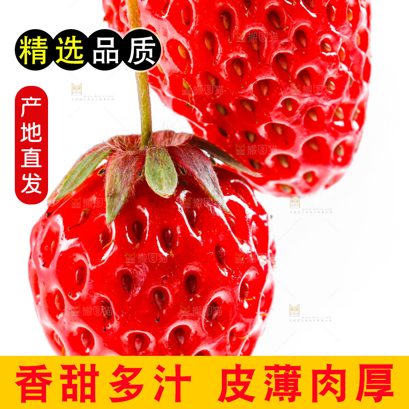 白底上的新鲜草莓