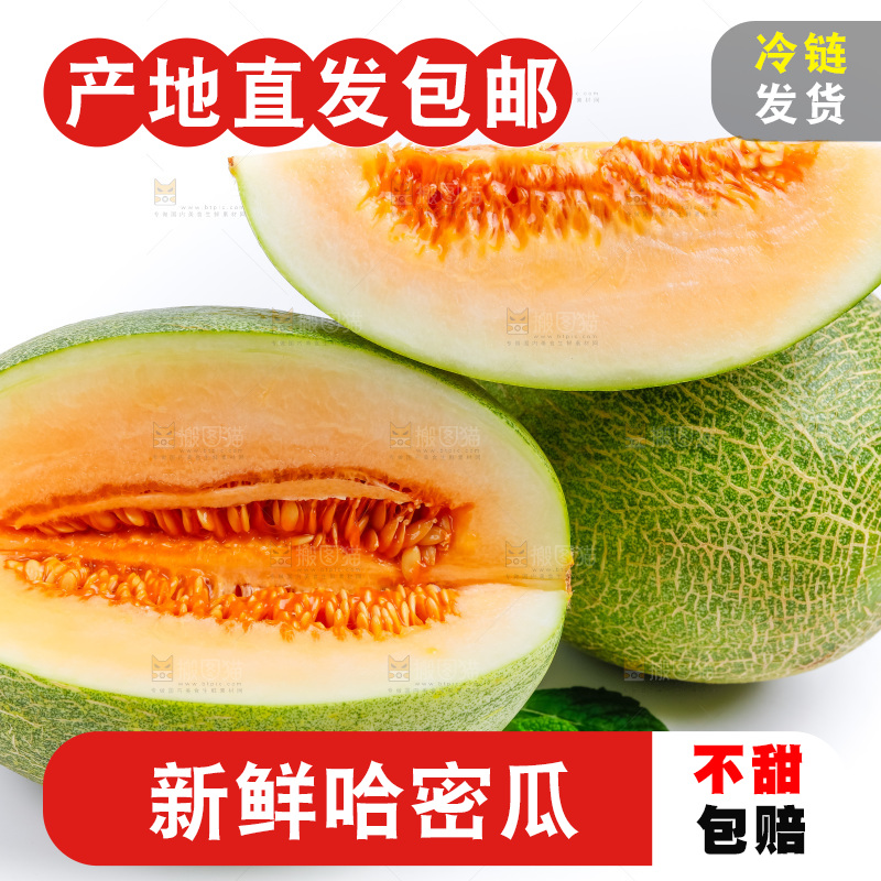 新鲜哈密瓜放在白底上