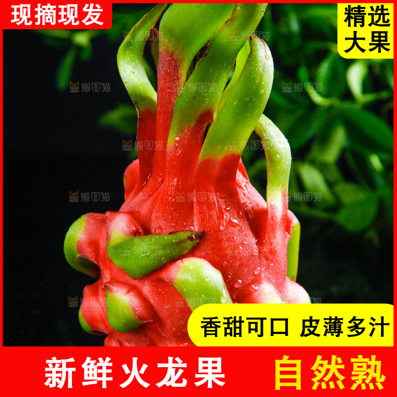 深底上的火龙果