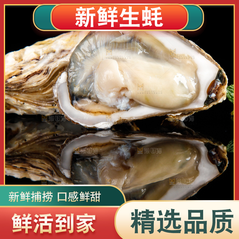 黑底上放着海蛎子
