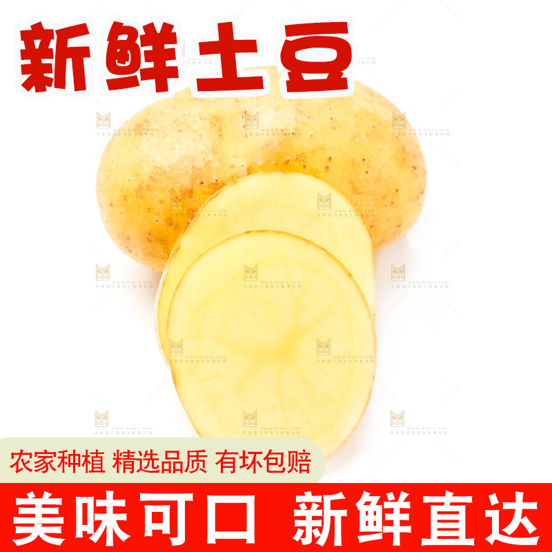 新鲜土豆放在白底上