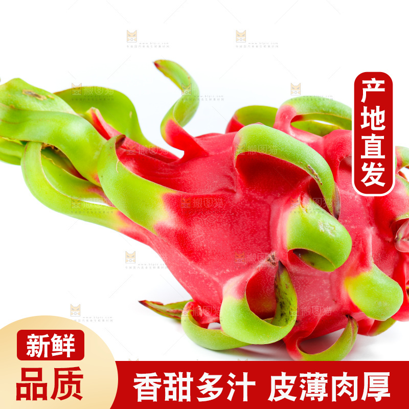 白底上的火龙果