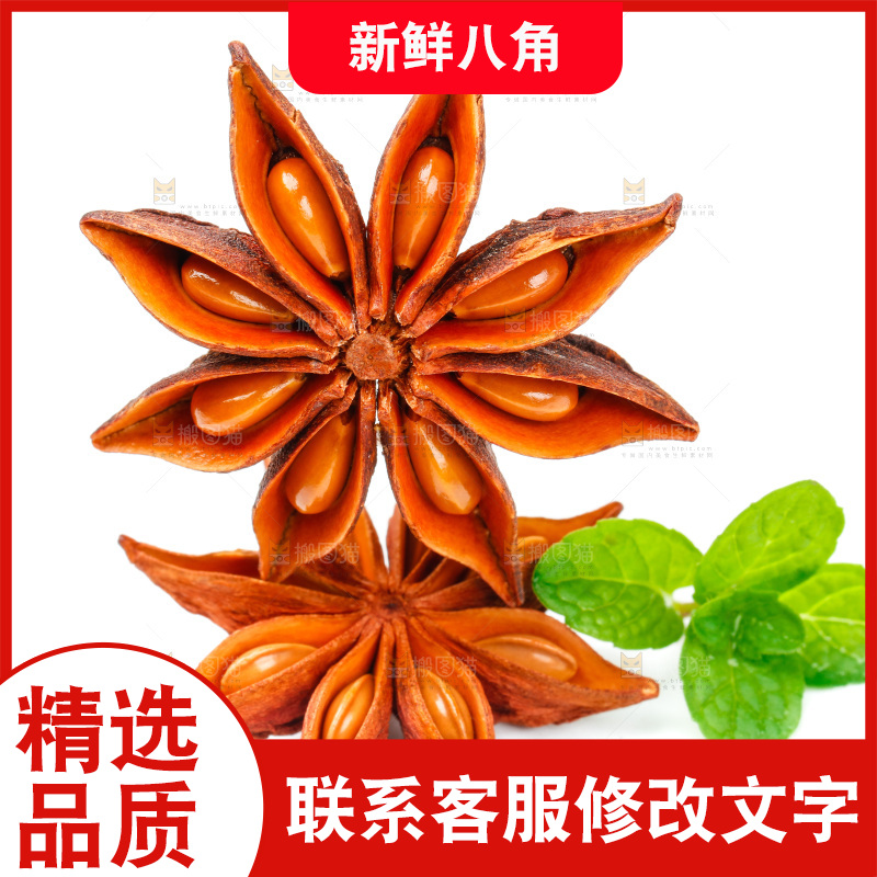 广西八角放在白底上