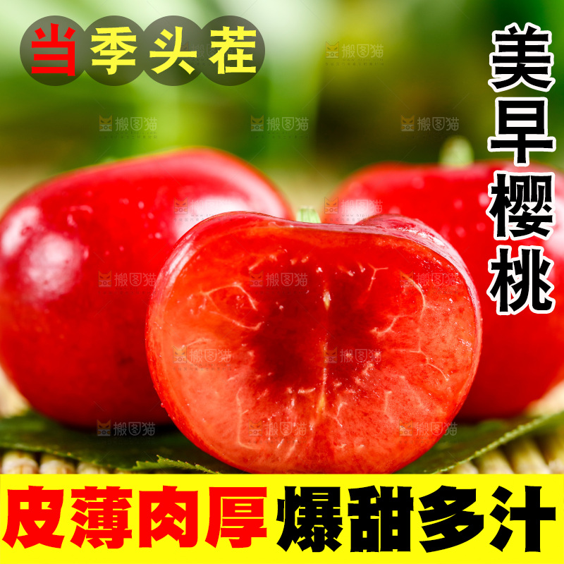 浅底上的新鲜樱桃