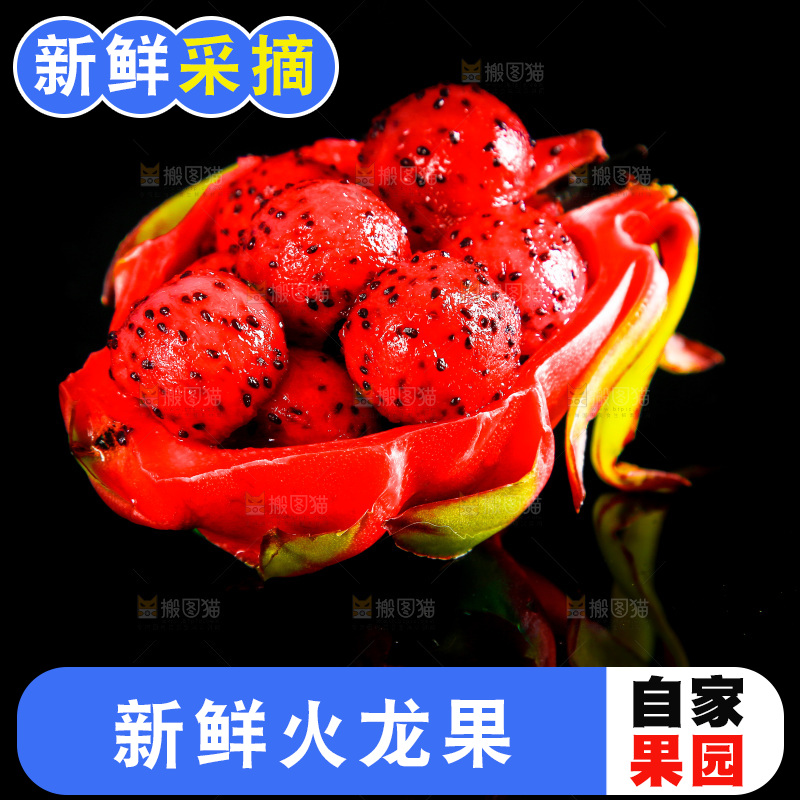 黑底上放着海南红心火龙果