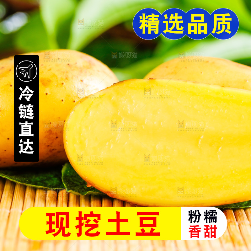 木底上的土豆