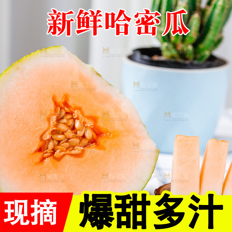 格子布上放着新鲜哈密瓜