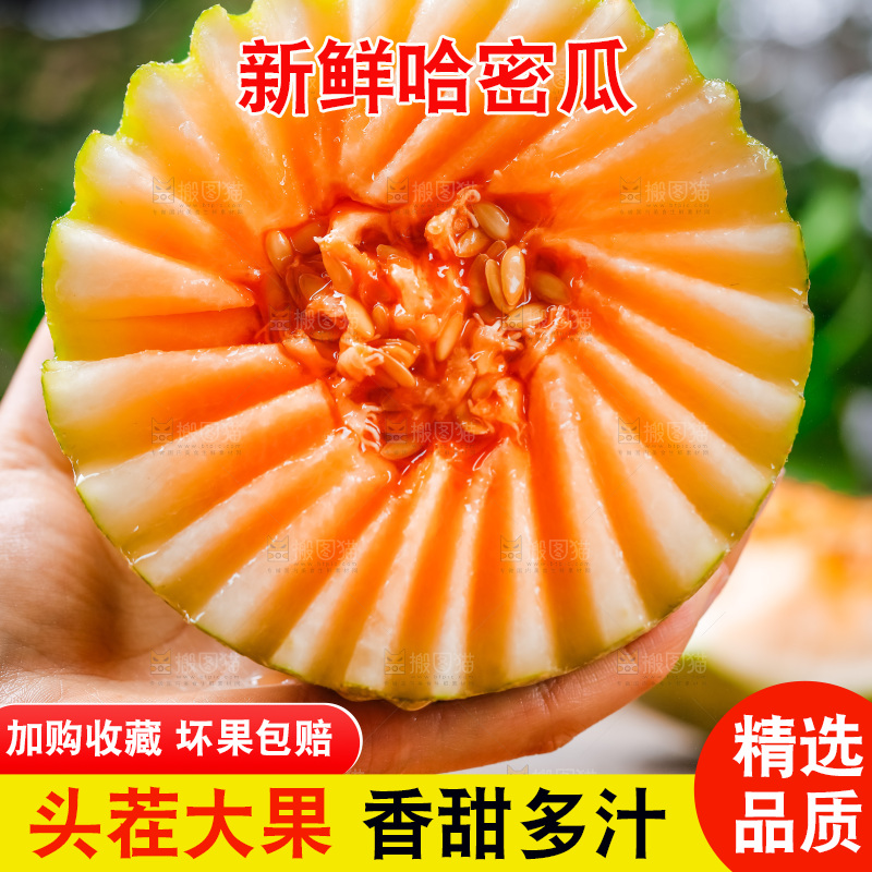 手拿切开的新疆哈密瓜