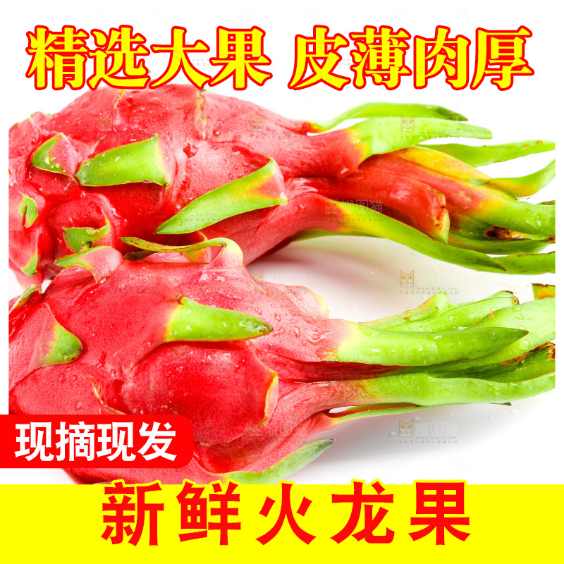 新鲜火龙果放在白底上