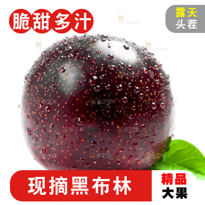 白底上的黑布林