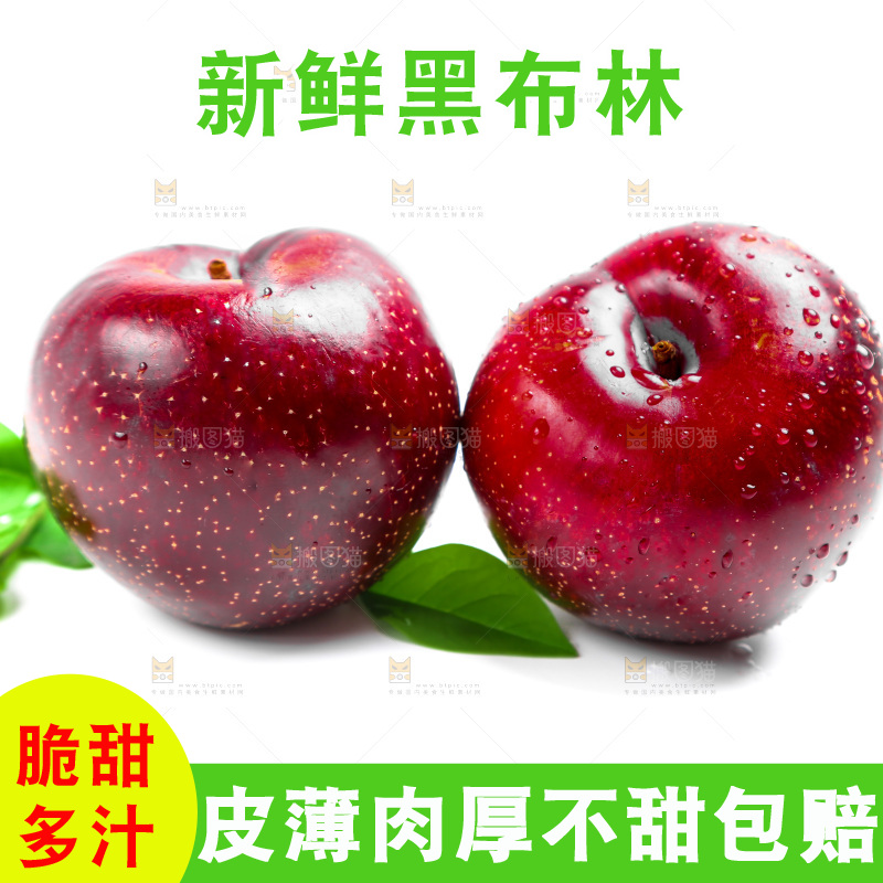 白底上的黑布林