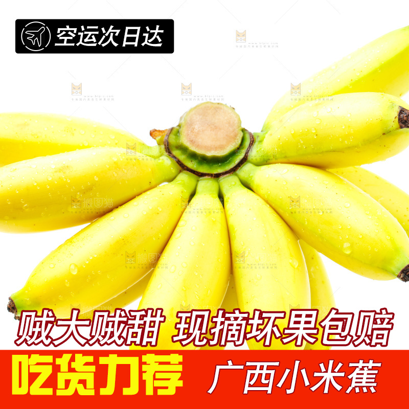 白底上的小米蕉