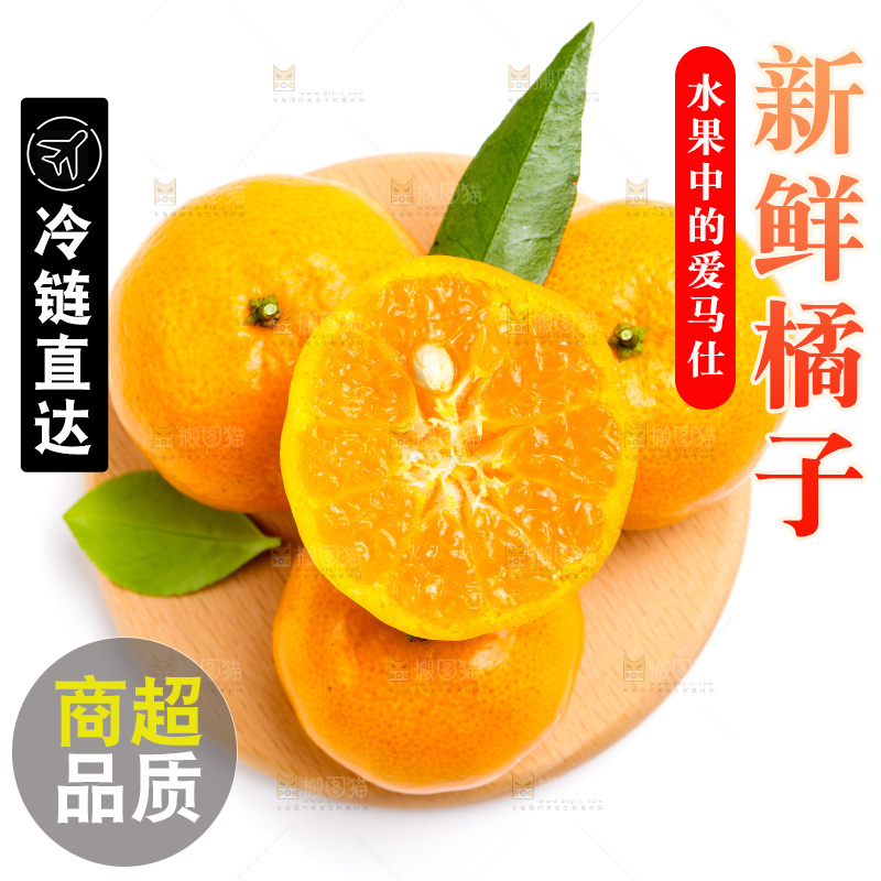 新鲜橘子放在白底上