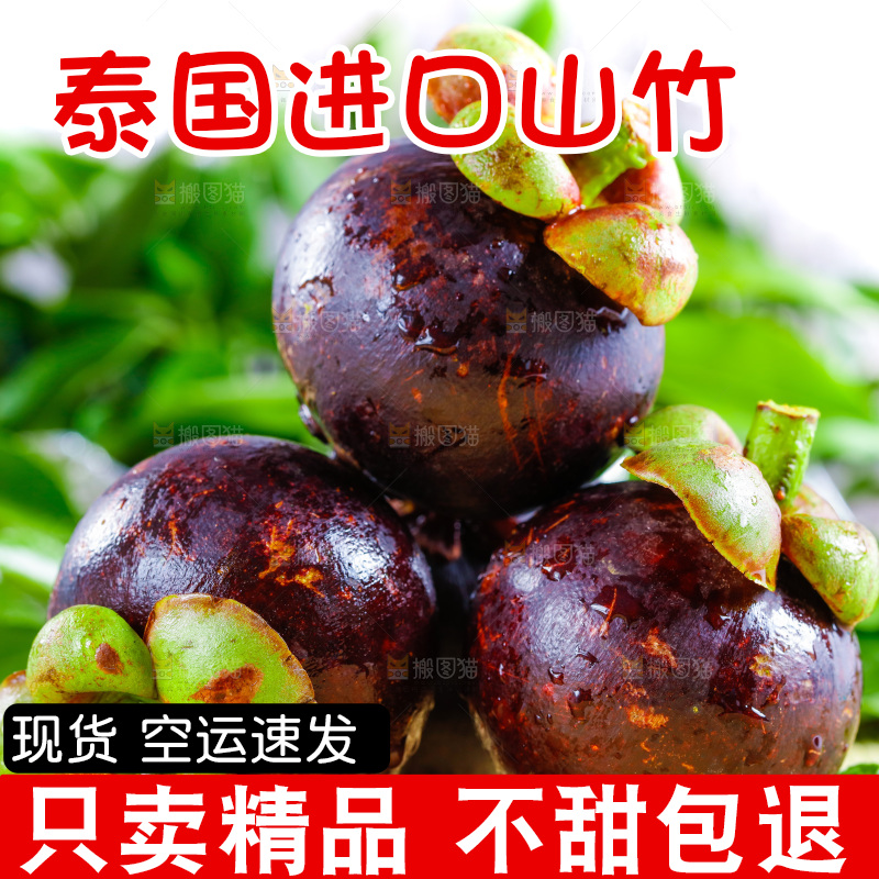 木底上的山竹