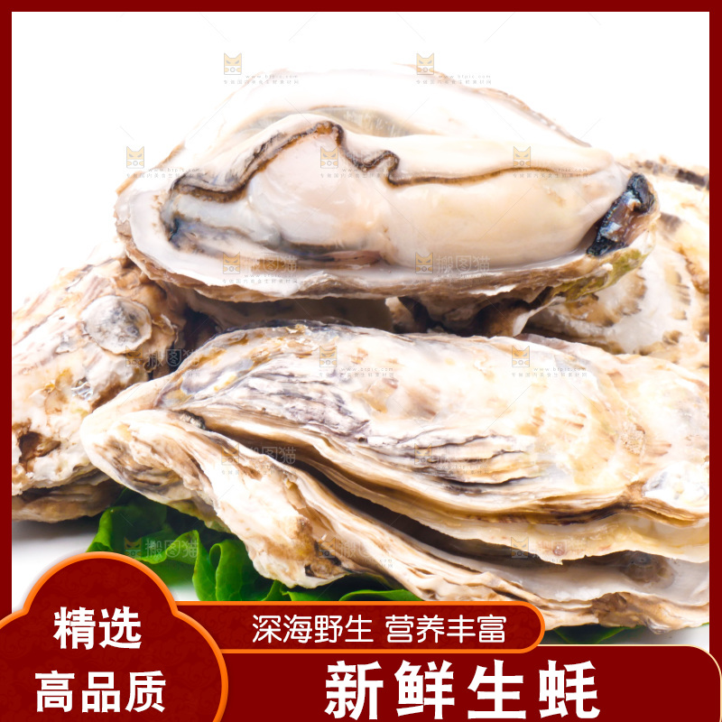 白底上放着乳山生蚝