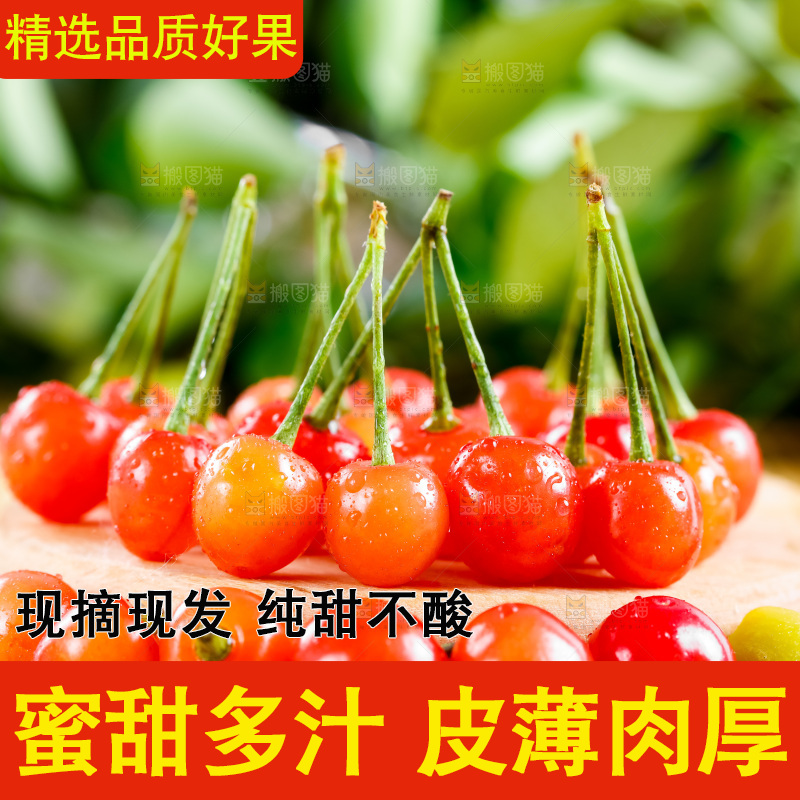 木底上放着烟台水晶黄樱桃