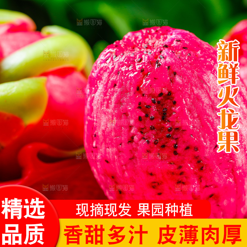 木底上放着海南红心火龙果