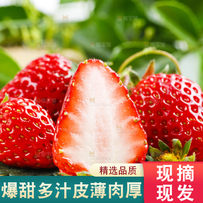 木底上放着丹东草莓