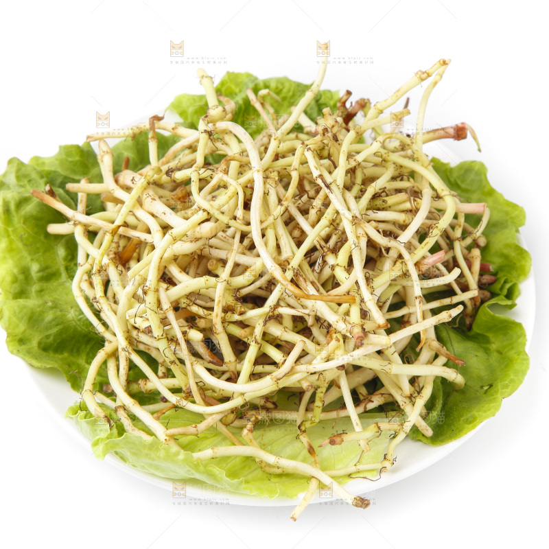 一盘凉拌鱼腥草放在白底上