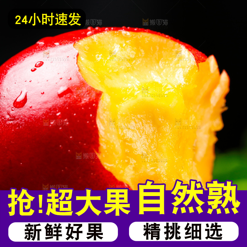 深底上的山西黄心油桃