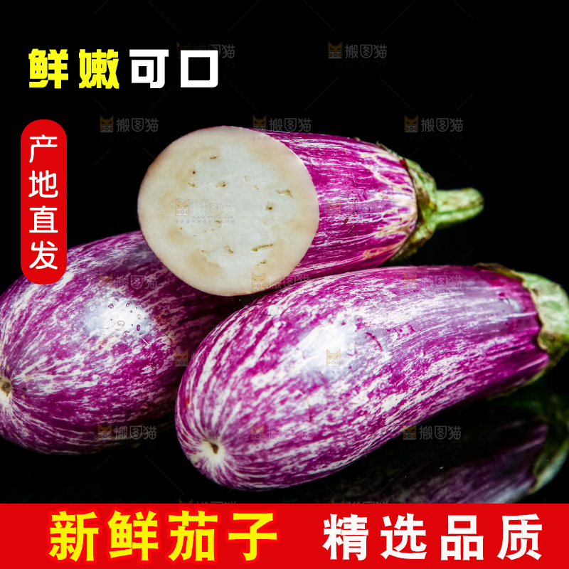黑底上放着金丝茄子