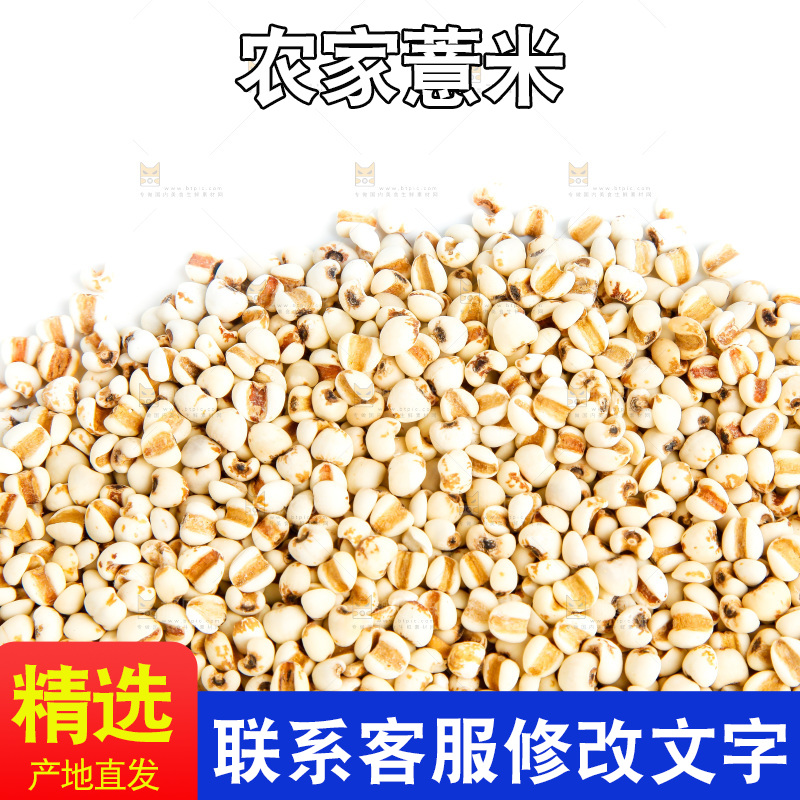 新鲜薏米放在白底上