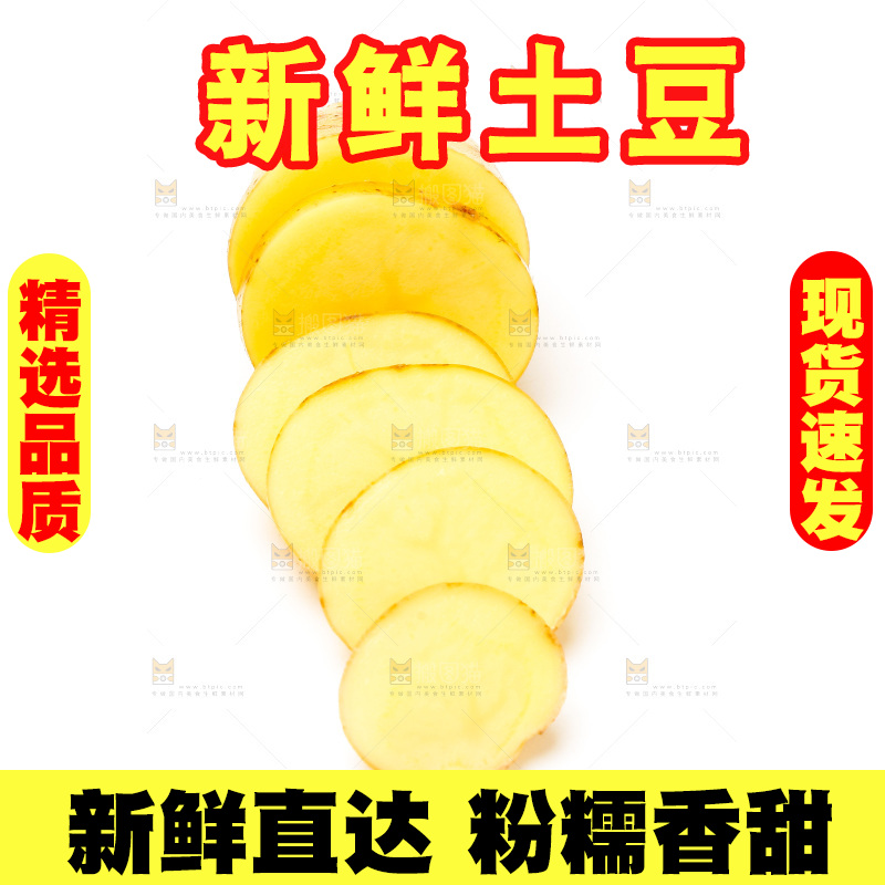 新鲜土豆放在白底上