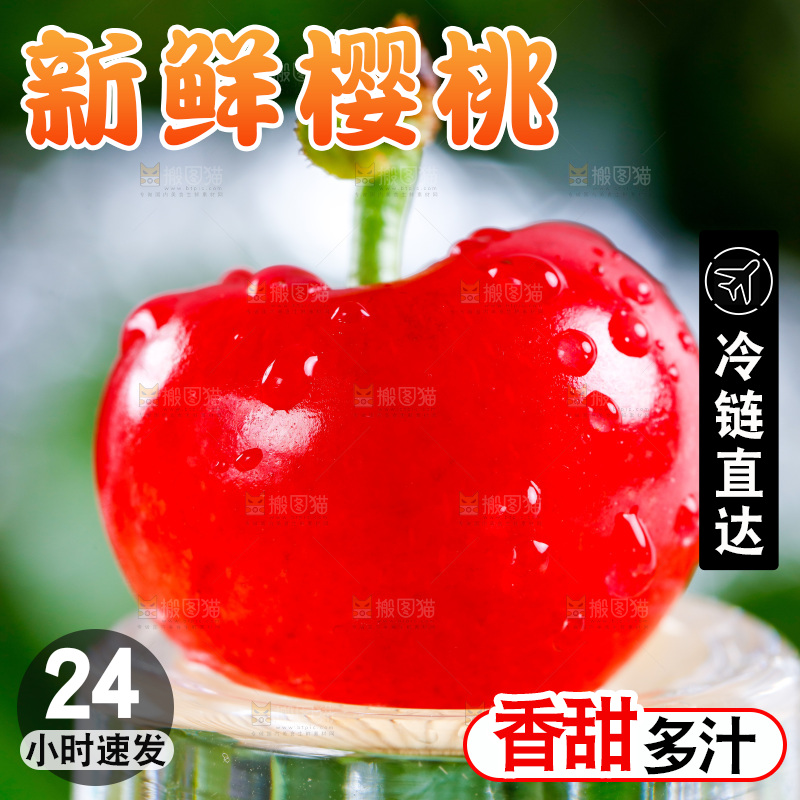 新鲜樱桃放在浅底上