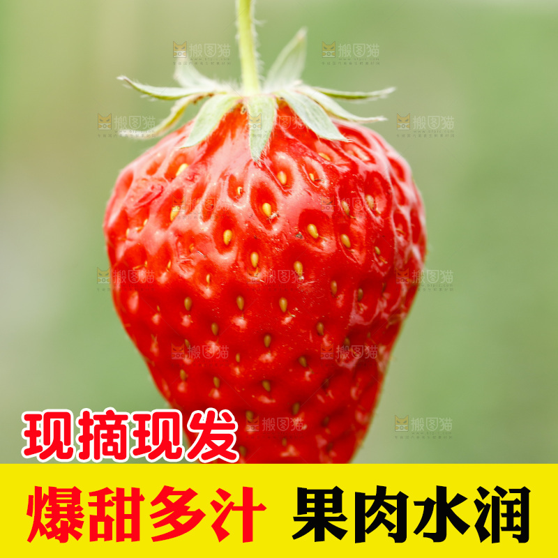 手拿草莓