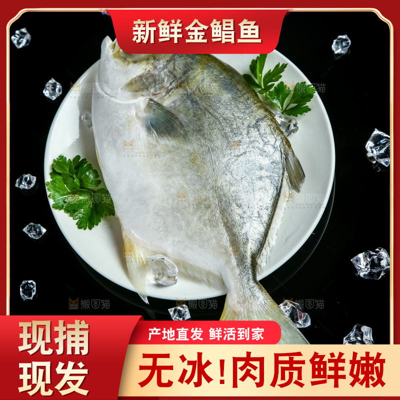 黑底上放着一盘金鲳鱼