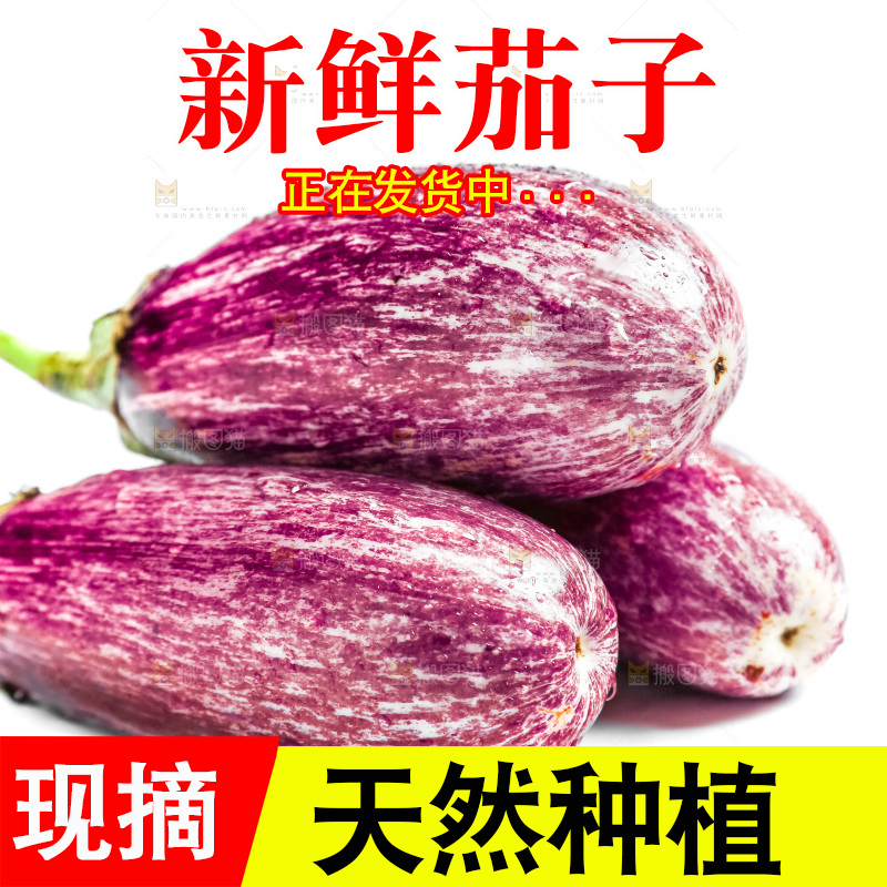 白底上的茄子