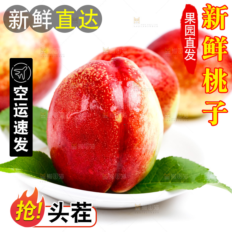 新鲜油桃放在白底上