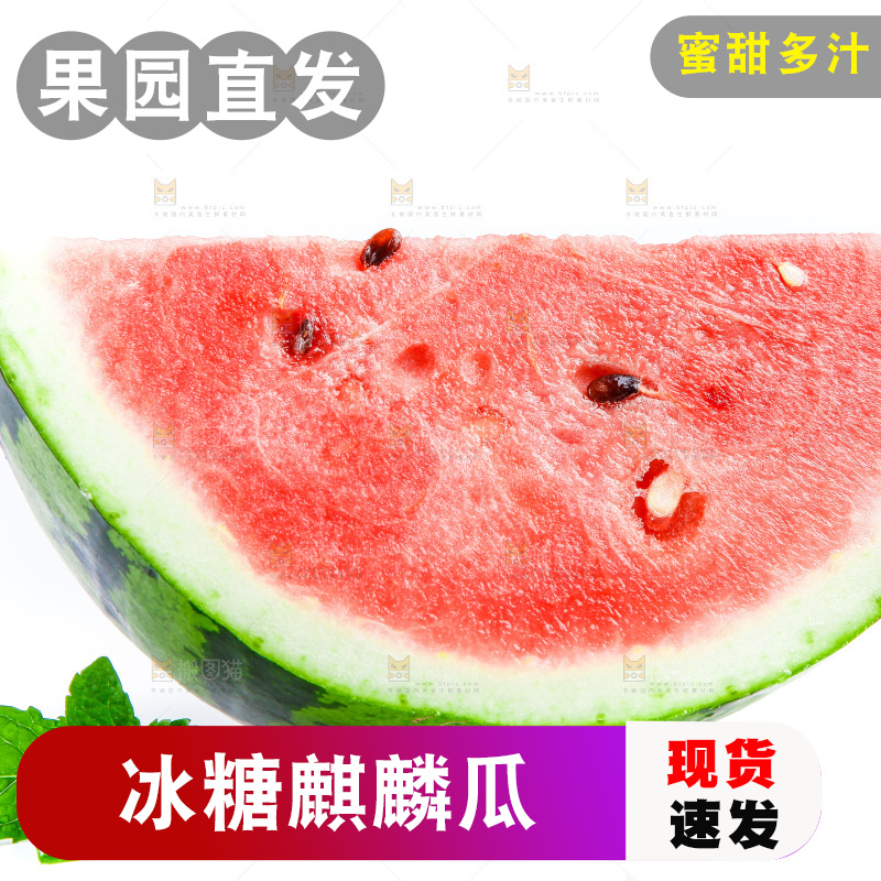 切开的麒麟西瓜放在白底上