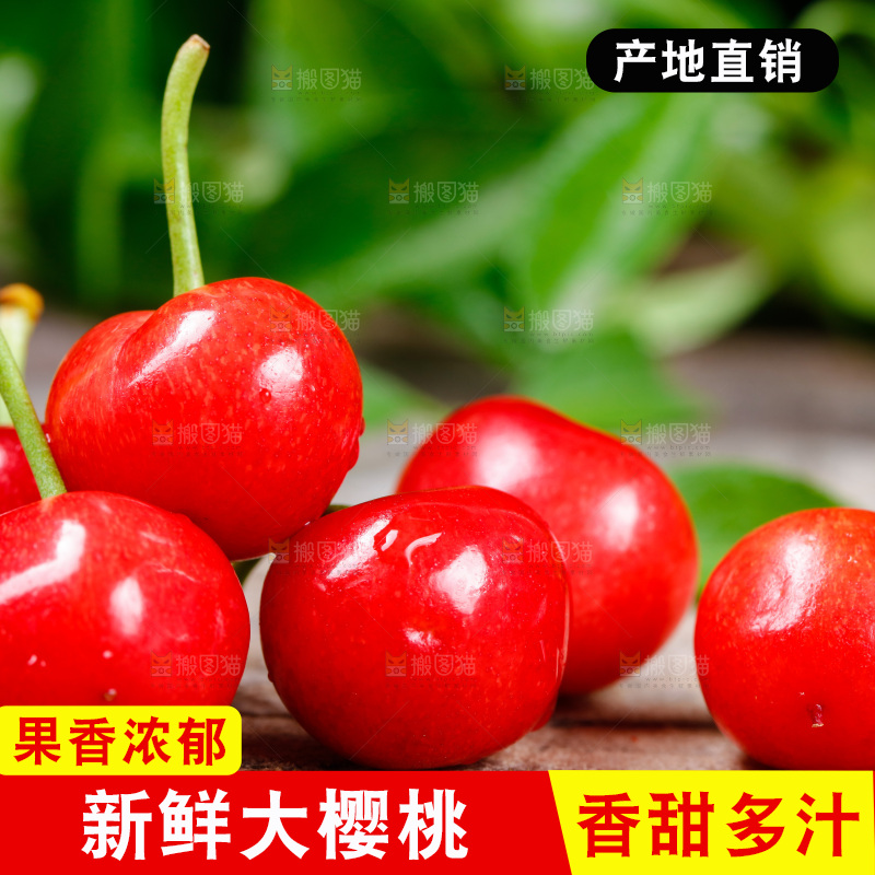 木底上放着烟台樱桃