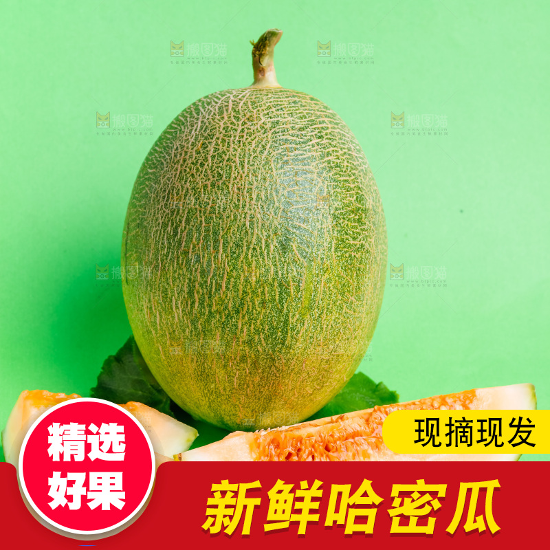 浅底上的哈密瓜