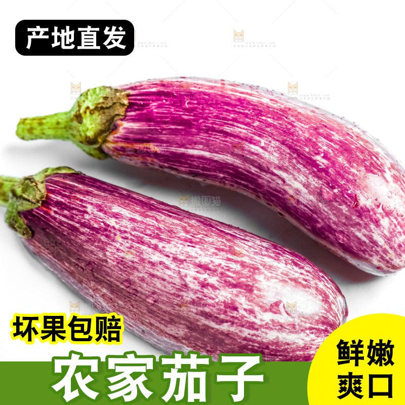 白底上的茄子