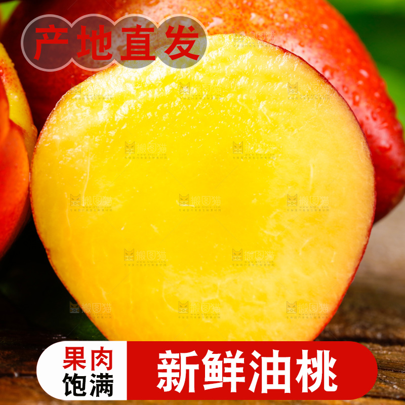深底上的山西黄心油桃