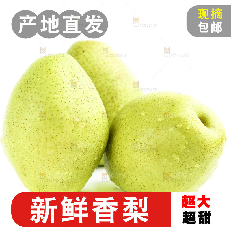 白底上的香梨